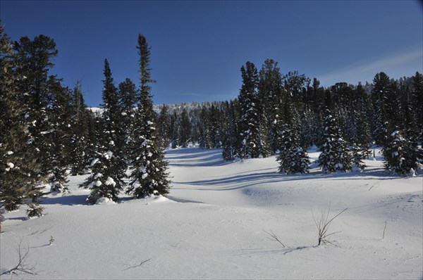 Ергаки 20.01.2011 (81)